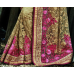 Phenomenal Beige Colored Woolen Embroidered Net Saree